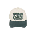 NYS CAP